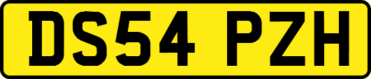 DS54PZH