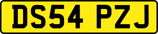 DS54PZJ