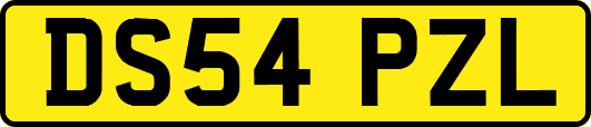 DS54PZL