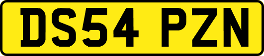 DS54PZN
