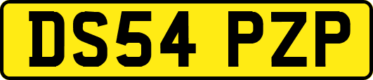 DS54PZP