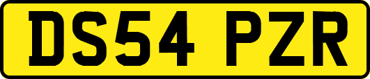 DS54PZR