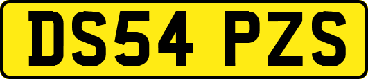 DS54PZS