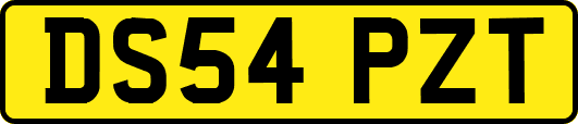 DS54PZT