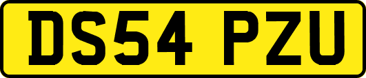 DS54PZU