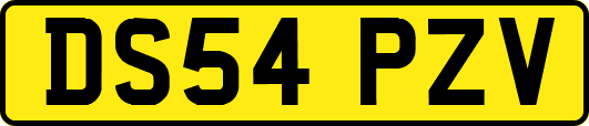 DS54PZV