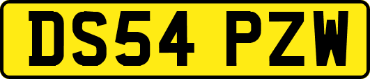 DS54PZW