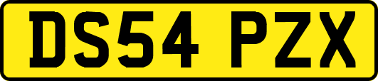 DS54PZX