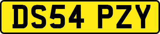 DS54PZY