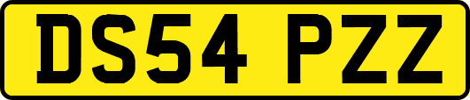 DS54PZZ