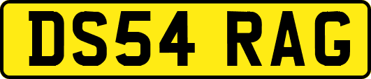 DS54RAG