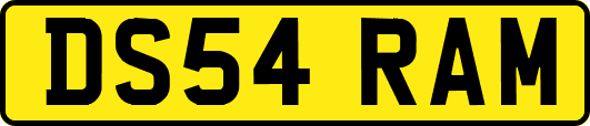 DS54RAM