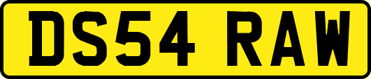 DS54RAW