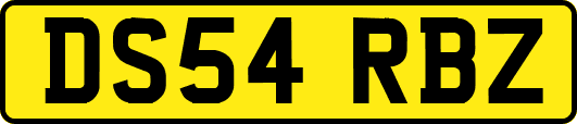 DS54RBZ