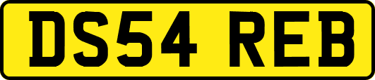 DS54REB