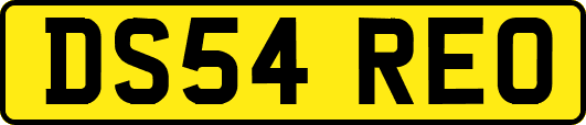 DS54REO