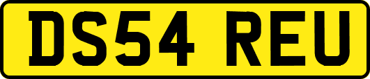 DS54REU