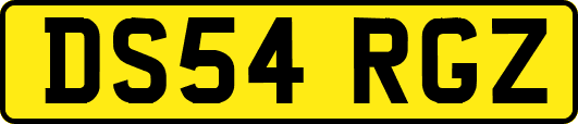 DS54RGZ
