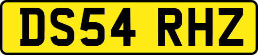 DS54RHZ