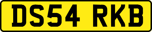 DS54RKB