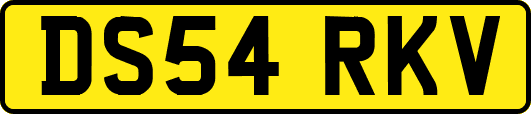 DS54RKV