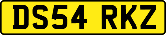 DS54RKZ