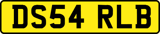 DS54RLB