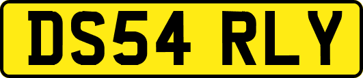 DS54RLY