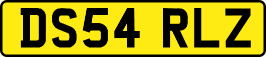 DS54RLZ