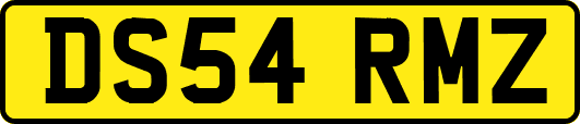 DS54RMZ