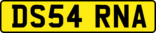 DS54RNA