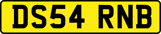 DS54RNB