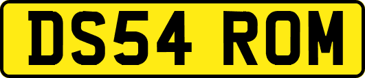 DS54ROM