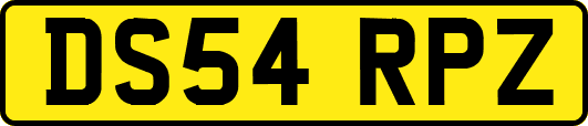 DS54RPZ