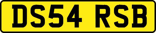 DS54RSB