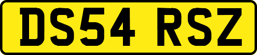 DS54RSZ