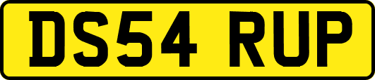 DS54RUP