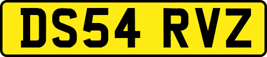 DS54RVZ