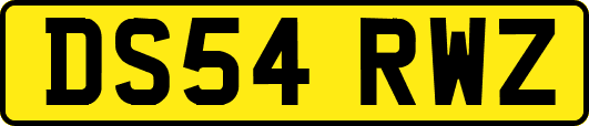 DS54RWZ