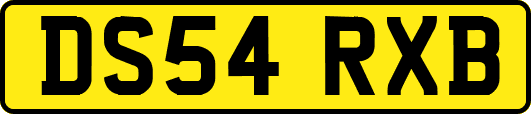 DS54RXB