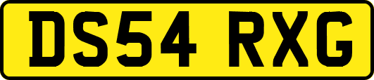 DS54RXG