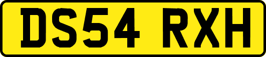 DS54RXH