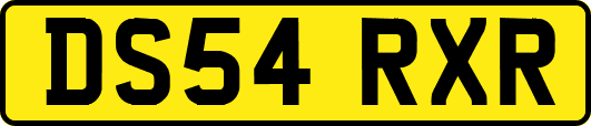 DS54RXR