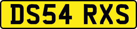 DS54RXS