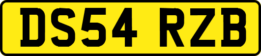 DS54RZB