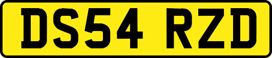 DS54RZD