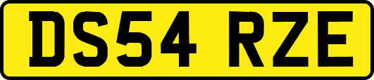 DS54RZE