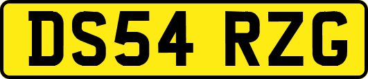 DS54RZG