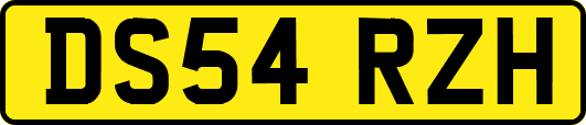 DS54RZH