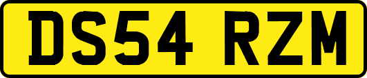 DS54RZM
